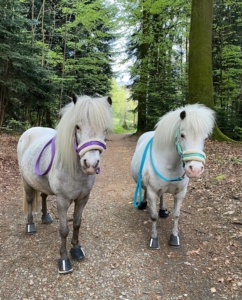 Indie und Kiko
