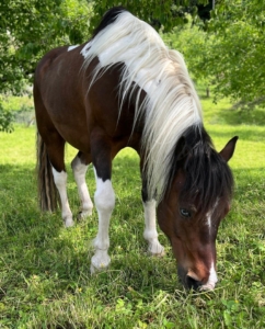 Yakari